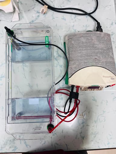 Gel Electrophoresis Unit