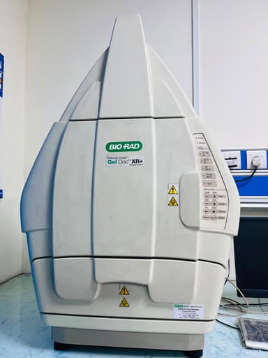 Gel Doc Imaging System