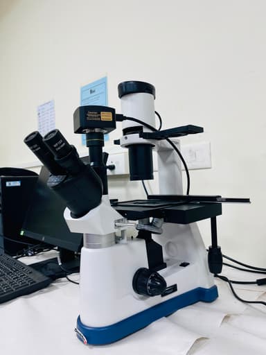 Inverted Microscope